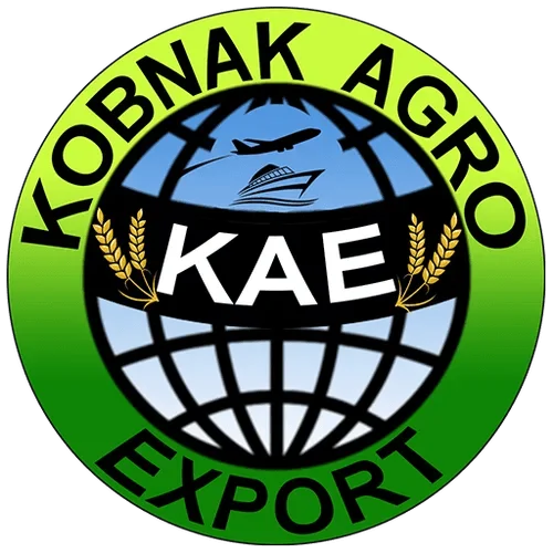 Kobnak logo