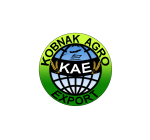 kobank agro export - Web Development Company in Raipur