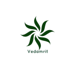 Vedamrit - Web Development Company in Raipur